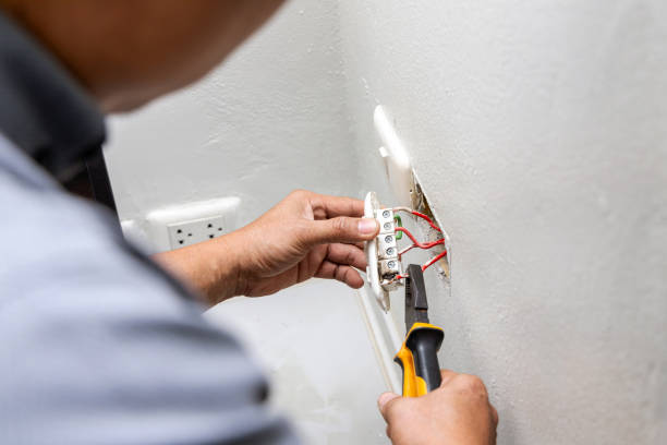 Best Affordable Electrician  in Bellevue, MI