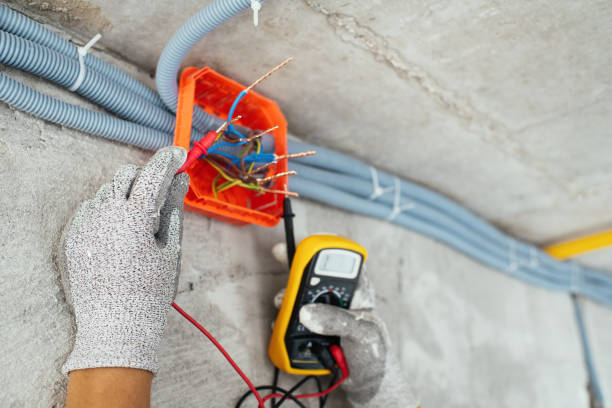 Best Home Electrical Repair  in Bellevue, MI